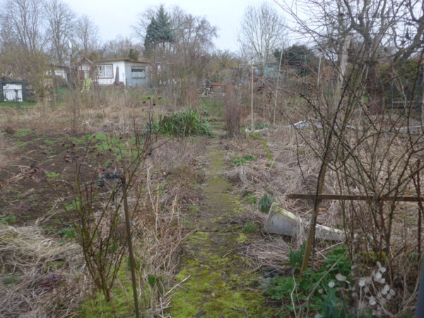 Vordere Gartenhälfte nach dem Winter