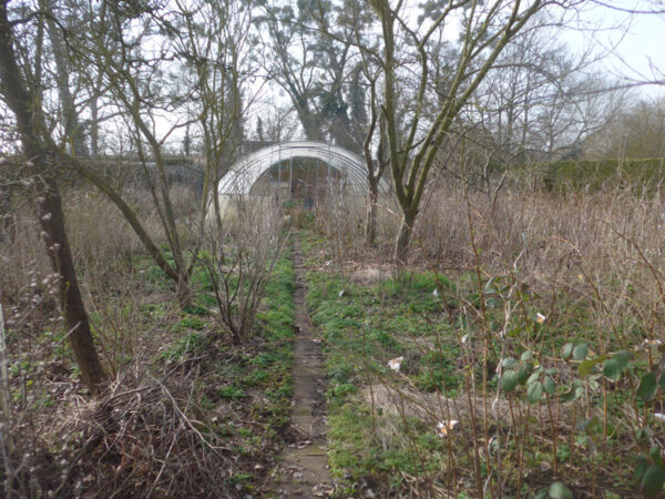 Folientunnel inmitten von Beerensträuchern und Obstbäumen