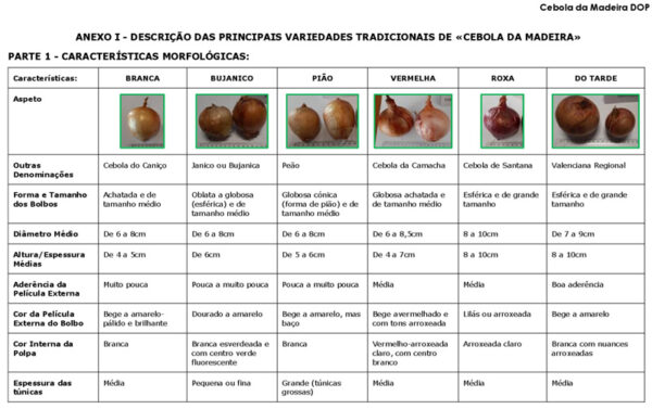 Ausschnitt aus der portugiesischen Beschreibung der Cebola da Madeira