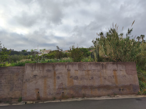 Hohe Mauer mit Bewuchs oberhalb